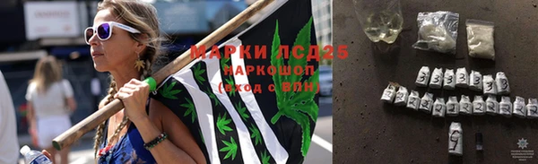 прущие грибы Балахна
