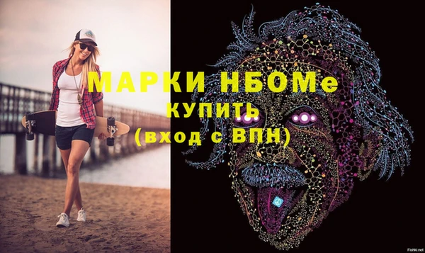 индика Арсеньев