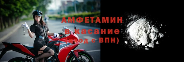 индика Арсеньев