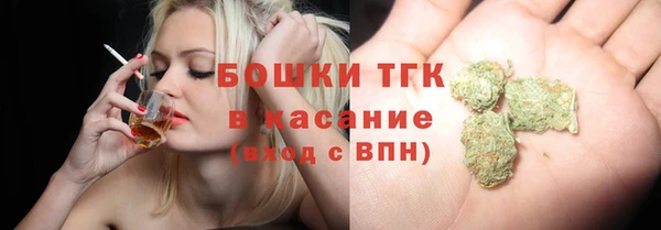 индика Арсеньев