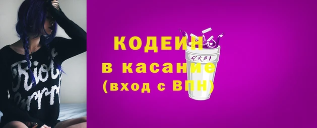 индика Арсеньев