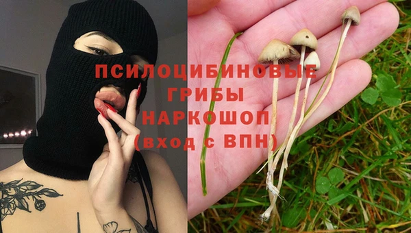 прущие грибы Балахна