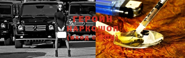 индика Арсеньев
