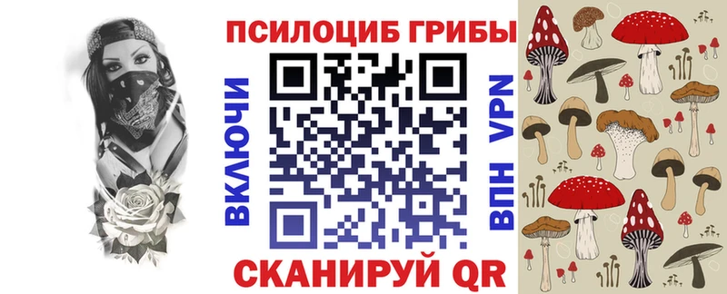 Галлюциногенные грибы ЛСД  что такое   omg зеркало  Кировск 